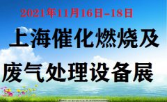展会标题图片：第4届上海国际催化燃烧及废气处理设备展览会