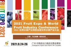 展会标题图片：2021全国水果展销会