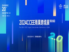 展会标题图片：2024深圳跨境电商展|2024年CCEE中国（深圳）雨果跨境全球电商展览会