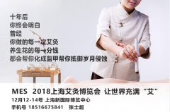 展会标题图片：2018-MES艾灸制品暨艾灸加盟产业博览会