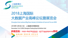 展会标题图片：2018年12月上海国际大数据产业展