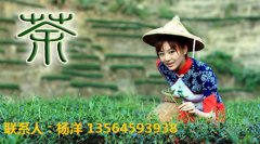 展会标题图片：2019上海秋季茶叶交易会|茶博会8月28-30日