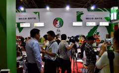 展会标题图片：2021第十一届上海国际茶业交易（秋季）博览会