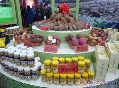 展会标题图片：2017上海保健食品展